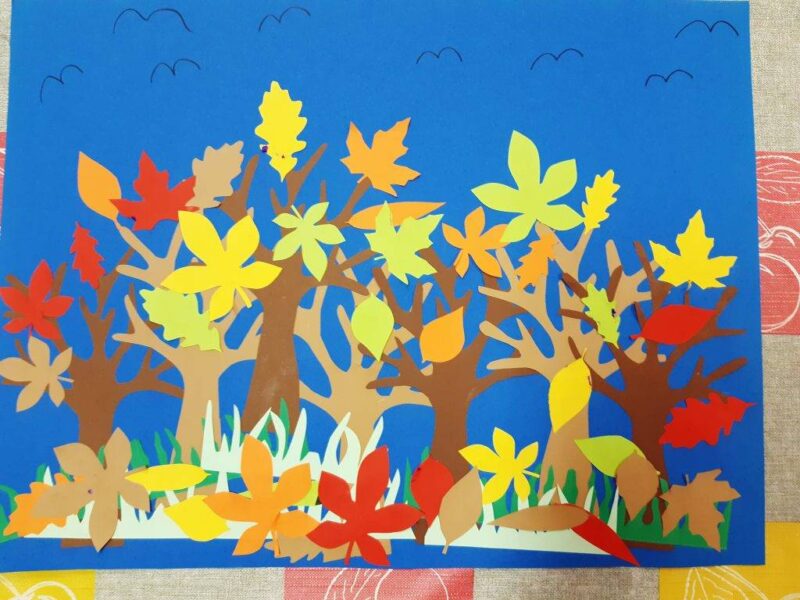 Hálaerdő Hálaerdő