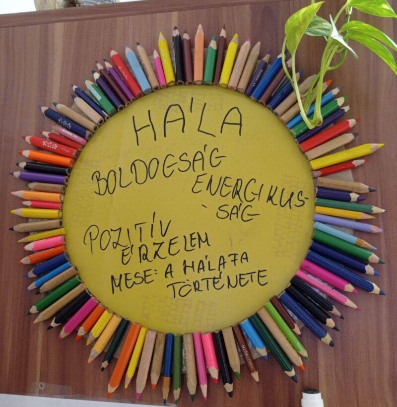 Napsugarak Hálafája Napsugarak Hálafája