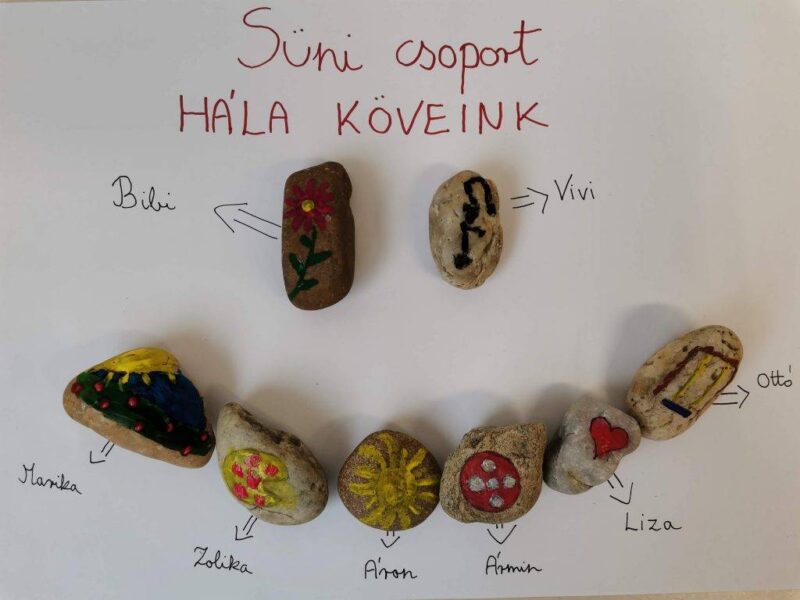 Süni csoport Hálakövei Süni csoport Hálakövei