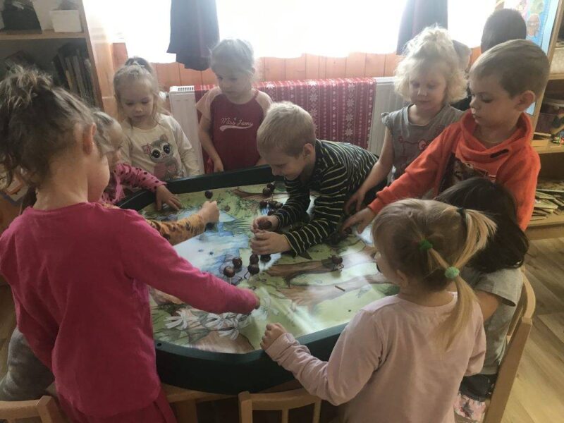 Kicsi gesztenye Kicsi gesztenye