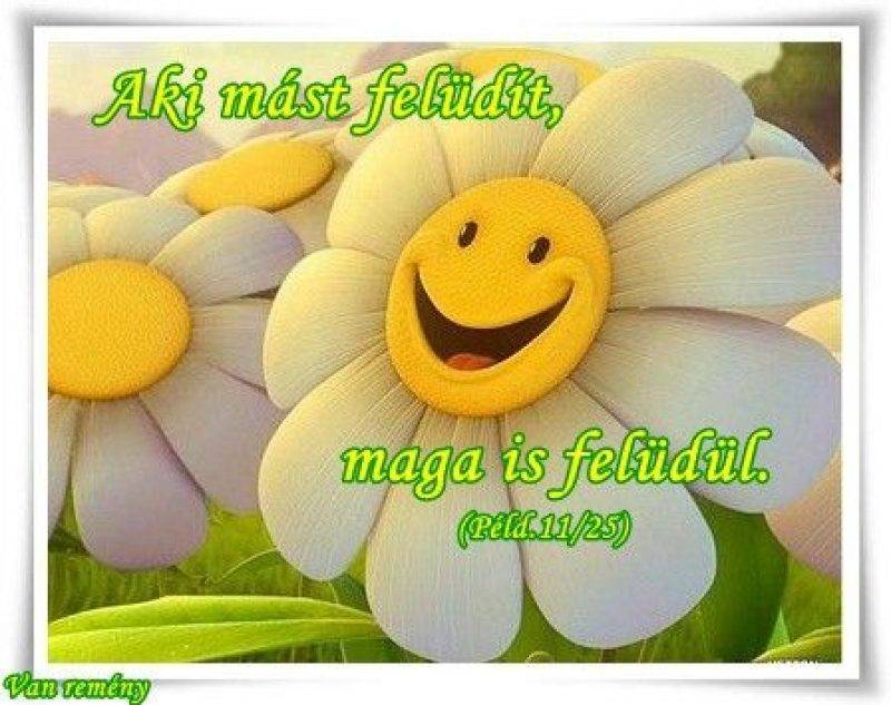 8c49c99f3ed01671cade7852931b10ed.jpg 8c49c99f3ed01671cade7852931b10ed.jpg