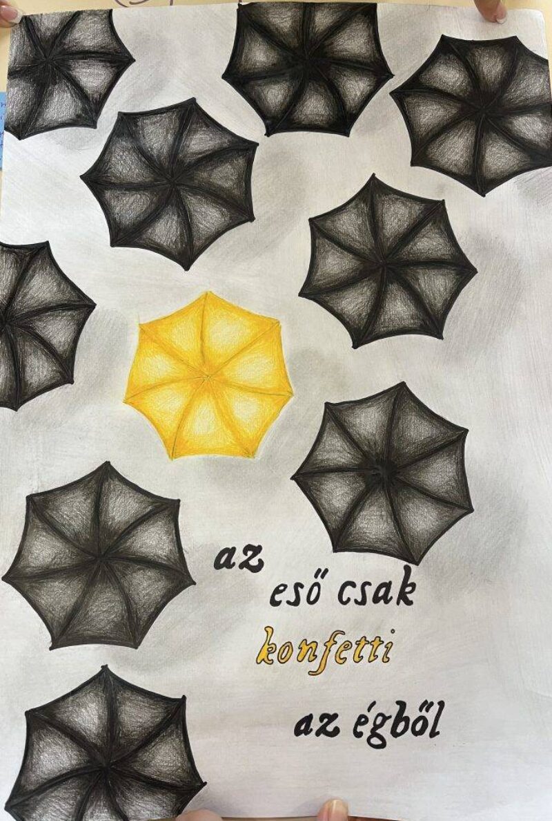Pályázat Pályázat