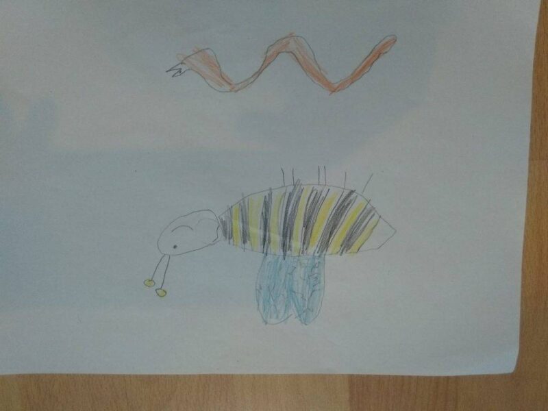 Nasu mackó szerencséje Nasu mackó szerencséje