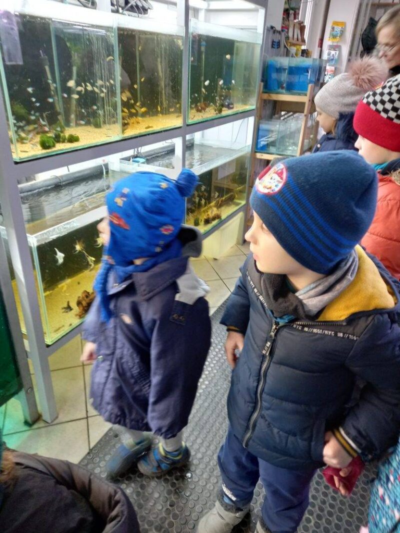 Cinkotai Huncutka Óvoda