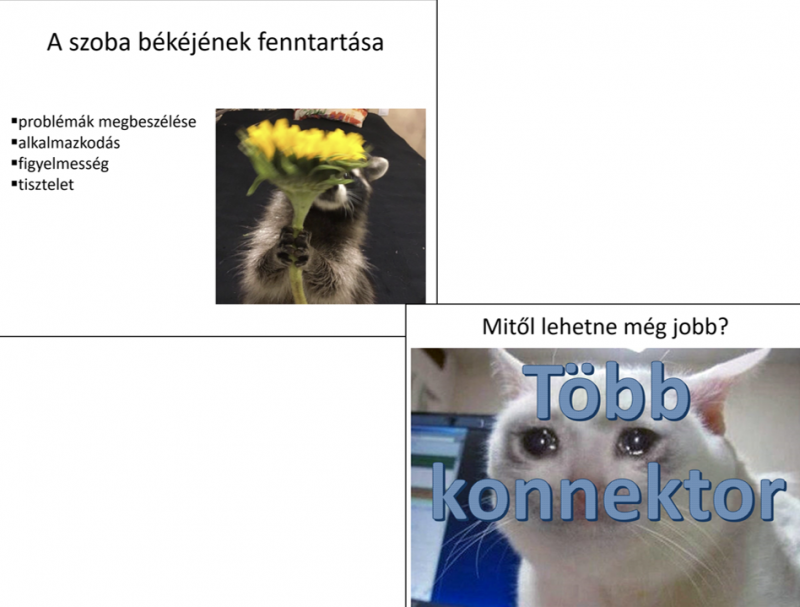 12.-halo.png 12.-halo.png