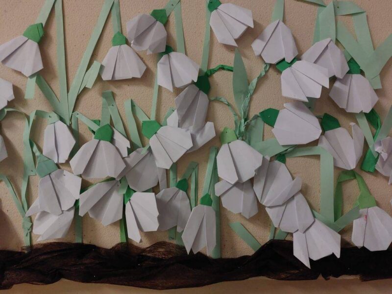 Biztató hóvirágmező Biztató hóvirágmező