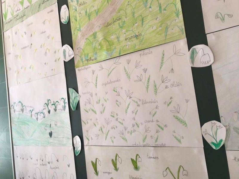 330270390_2203554436494131_2405438844075411452_n.jpg 330270390_2203554436494131_2405438844075411452_n.jpg