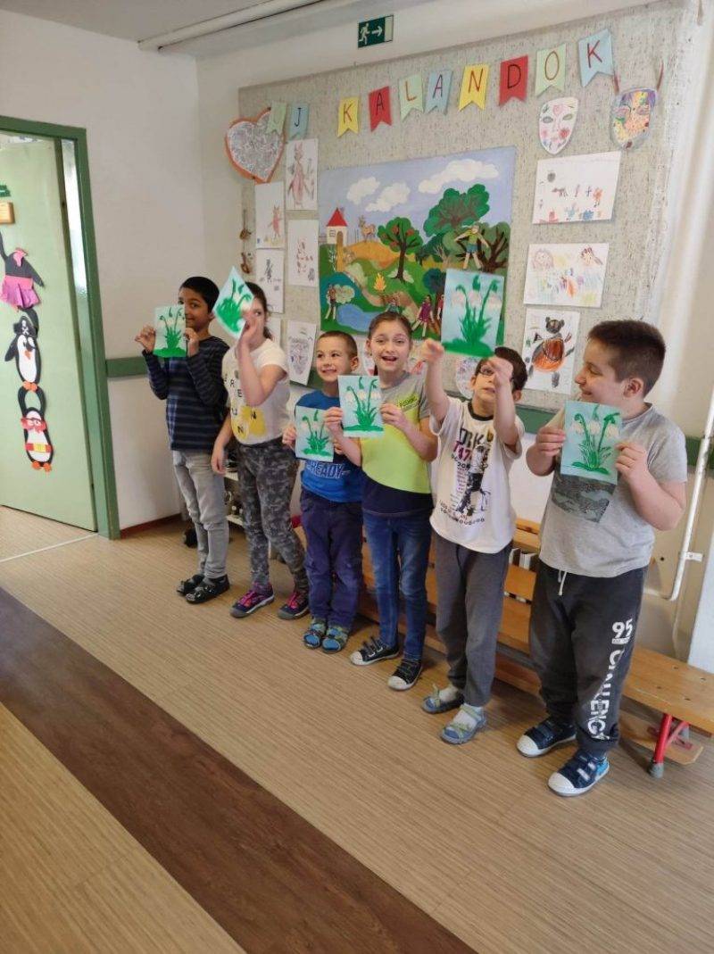 Hoviragmezo-5.jpg Hoviragmezo-5.jpg