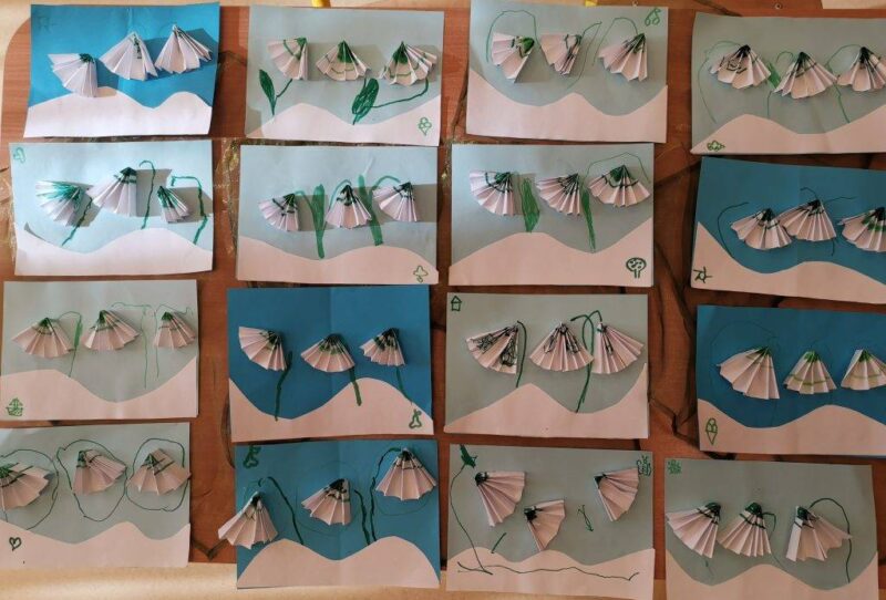 Bátorító hóvirágmező Bátorító hóvirágmező