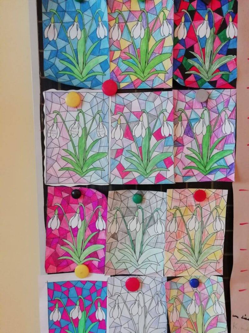 Bíztató hóvirágmező Bíztató hóvirágmező