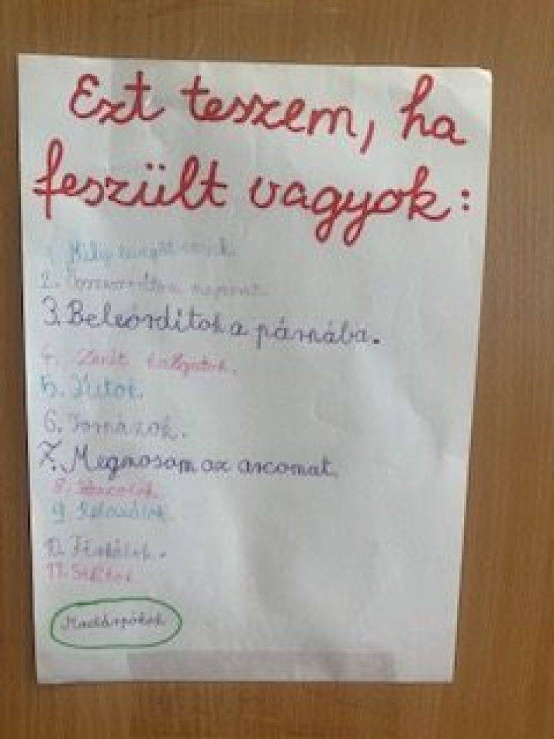 mst1-1.jpg mst1-1.jpg