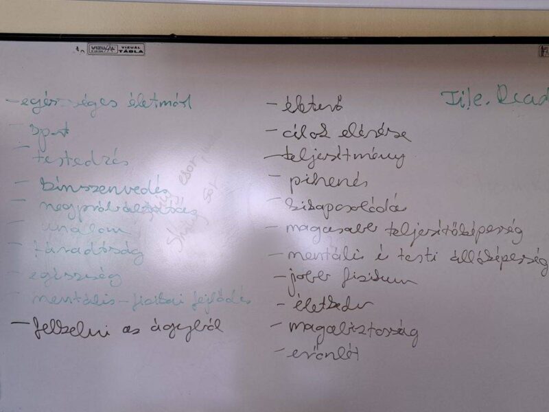 A testmozgás ábrája A testmozgás ábrája