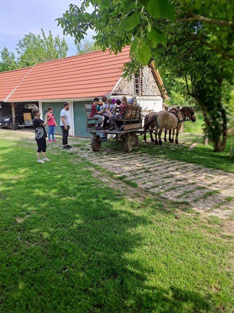 Mozogni jó!