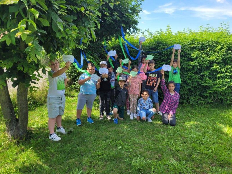 A Bölcs Galaxis-fa A Bölcs Galaxis-fa