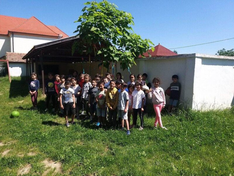 A Bölcs Galaxis-fa A Bölcs Galaxis-fa