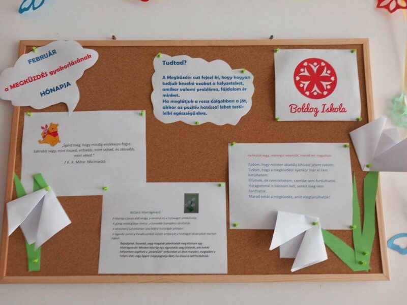Amit a hóvirágoktól tanulhatok… Amit a hóvirágoktól tanulhatok…
