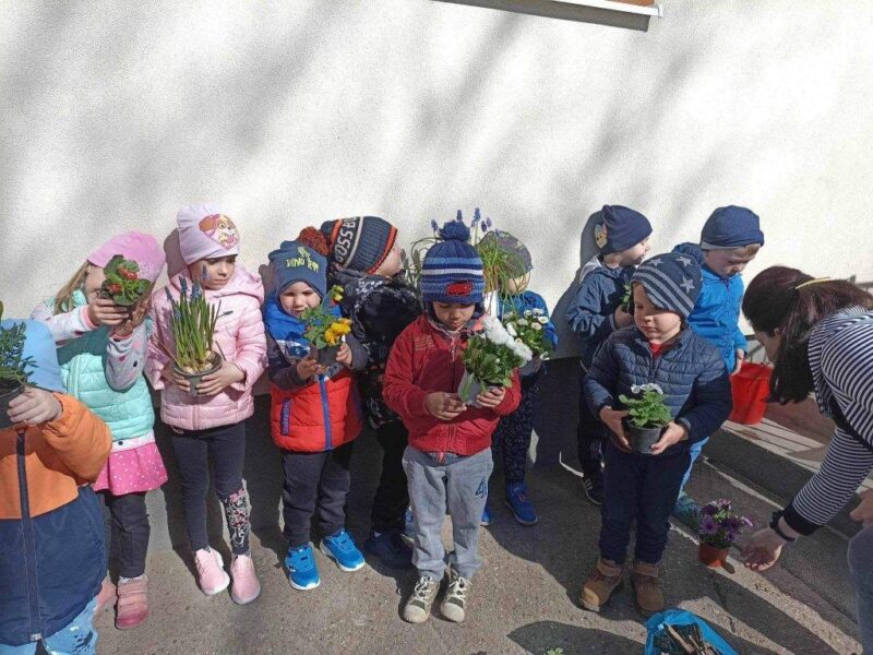 Kiskunmajsai Napsugár Óvoda Kiskunmajsai Napsugár Óvoda