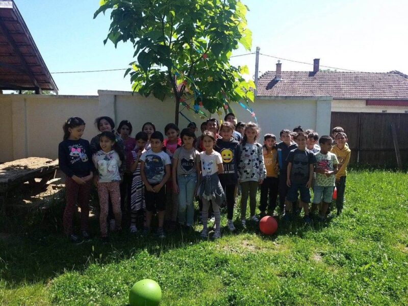 Bölcs Galaxis-fa Bölcs Galaxis-fa