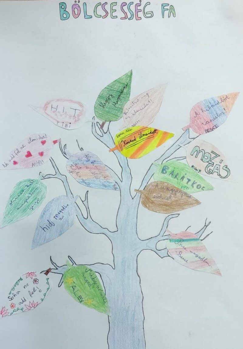 Bölcsességfa Bölcsességfa