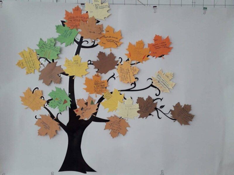 Éves beszámoló Éves beszámoló