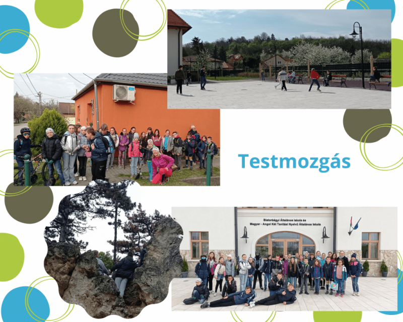 Testmozgas.png Testmozgas.png