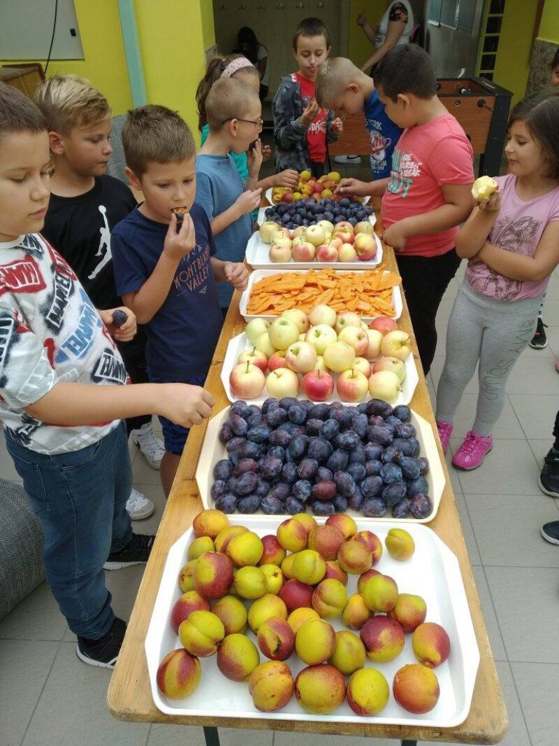 Egészséges életmód