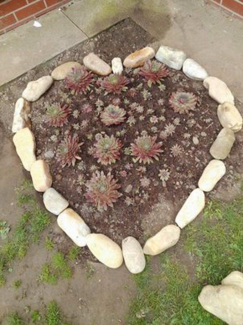 jun9-3.jpg jun9-3.jpg