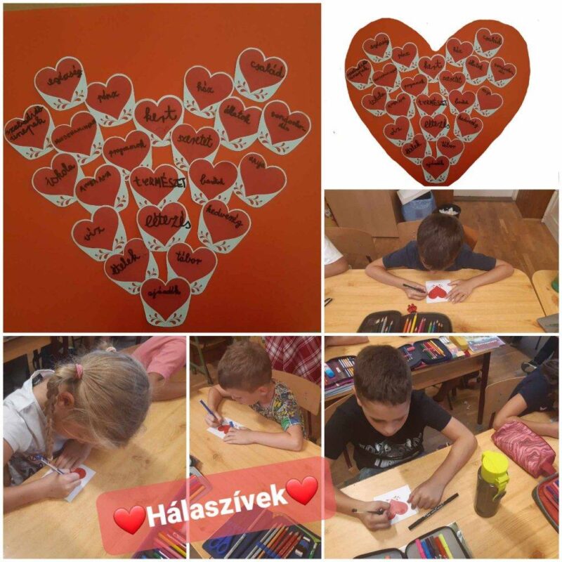 Hálaszíveink Hálaszíveink