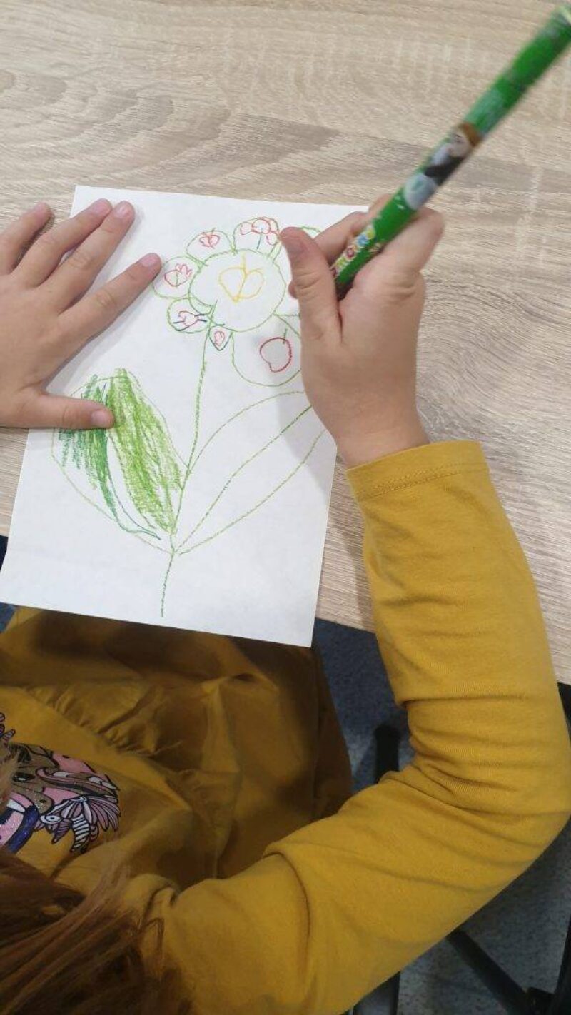 Társas kapcsolatok Társas kapcsolatok