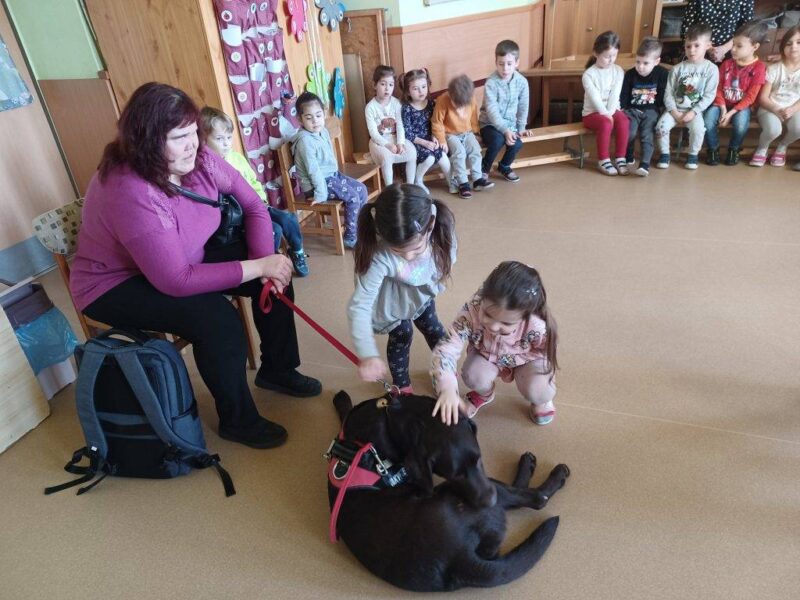 Csodálatos Bodza kutya Csodálatos Bodza kutya