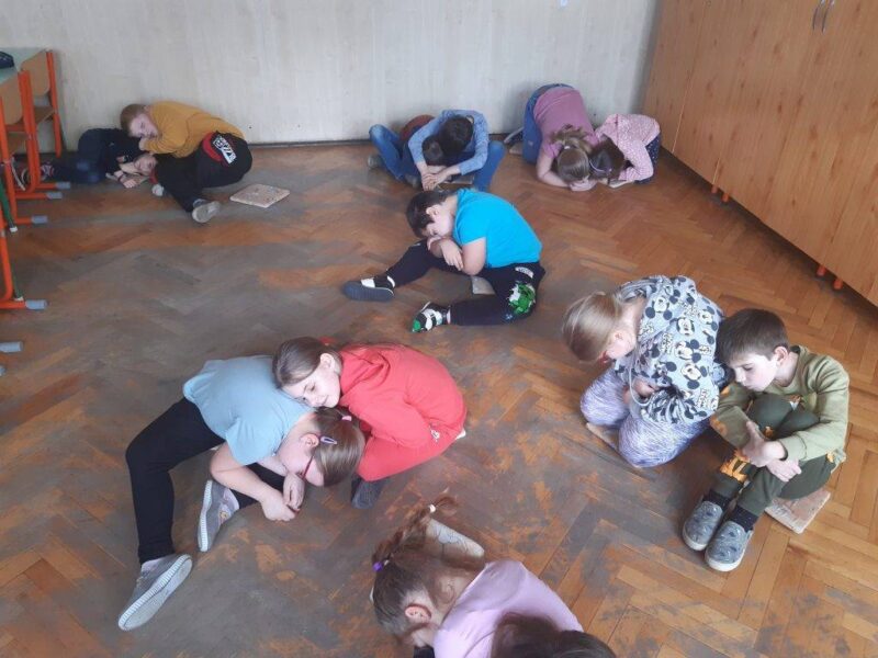 Állati állapotok Állati állapotok