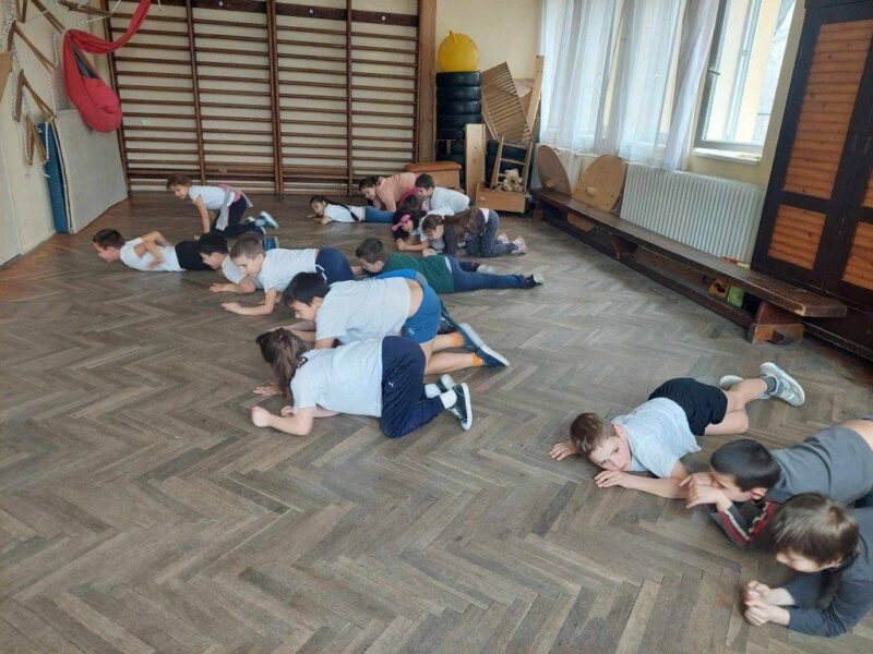 Állati állapotok Állati állapotok