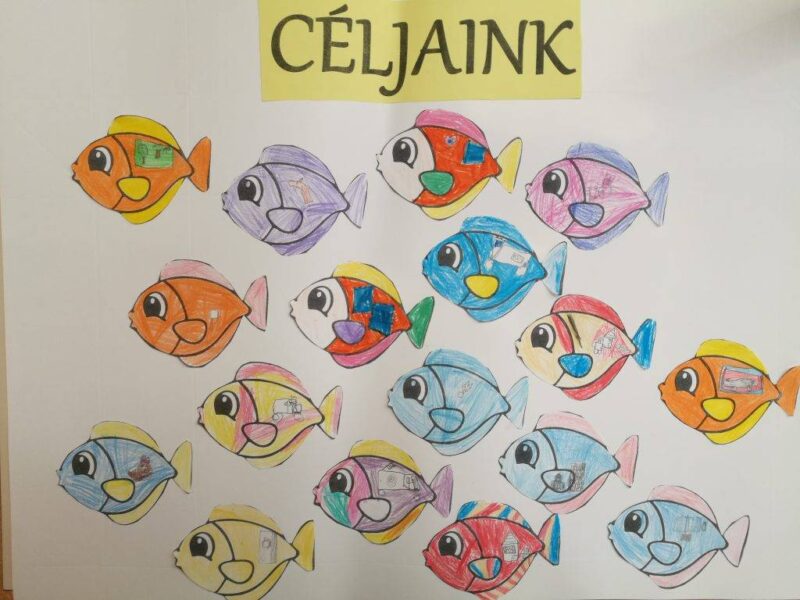 Céljaink Céljaink