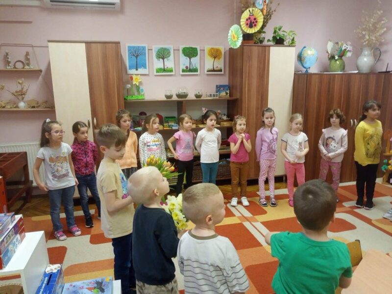 A természet csodái A természet csodái