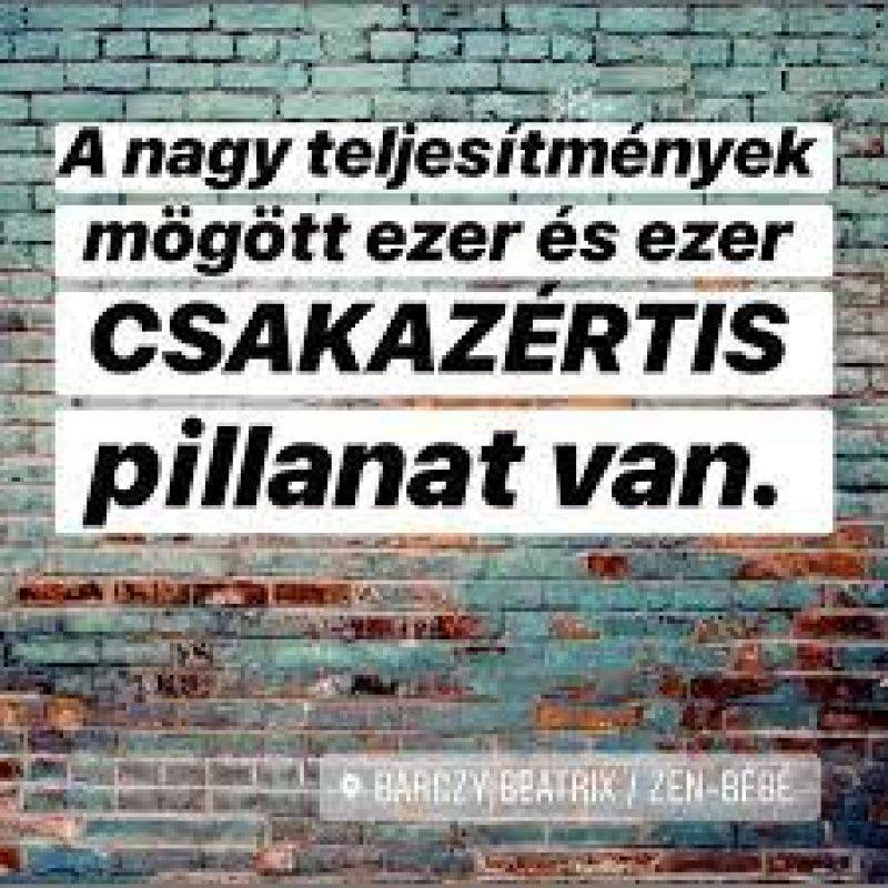 Csakazertis.jpg Csakazertis.jpg