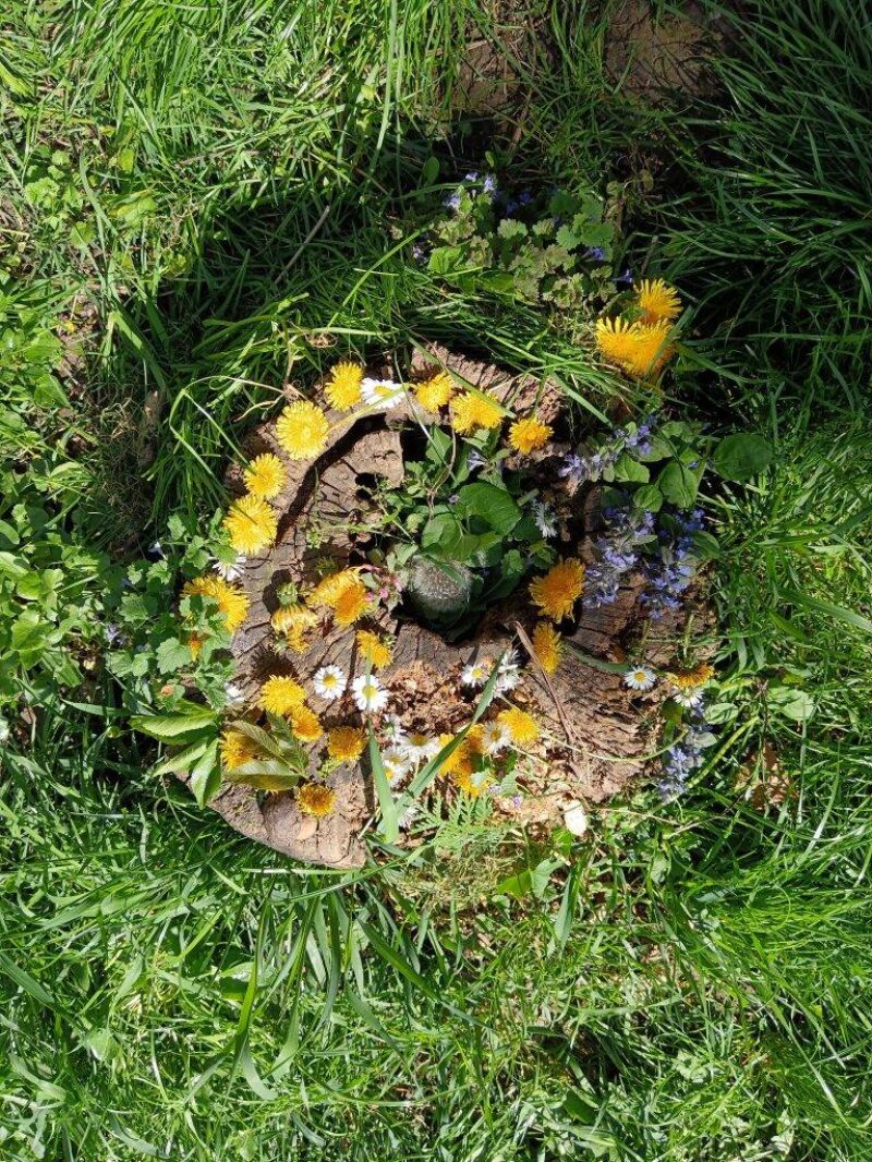 Landart Landart