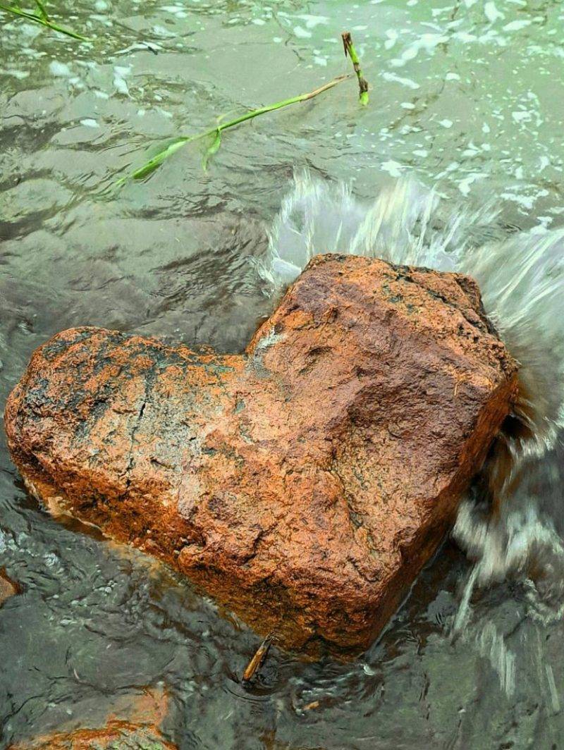 438969769_2100181563694109_1629419388243460259_n.jpg 438969769_2100181563694109_1629419388243460259_n.jpg