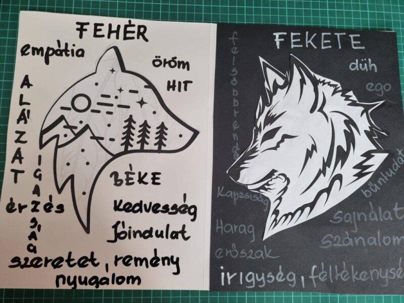 A Fehér és a Fekete Farkas – Fenyhozo912 – 1. csoport A Fehér és a Fekete Farkas – Fenyhozo912 – 1. csoport