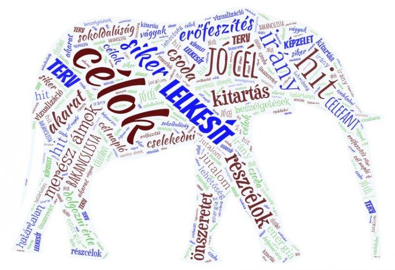 Celefant-Fenyhozo912-2.-csoport.jpeg Celefant-Fenyhozo912-2.-csoport.jpeg