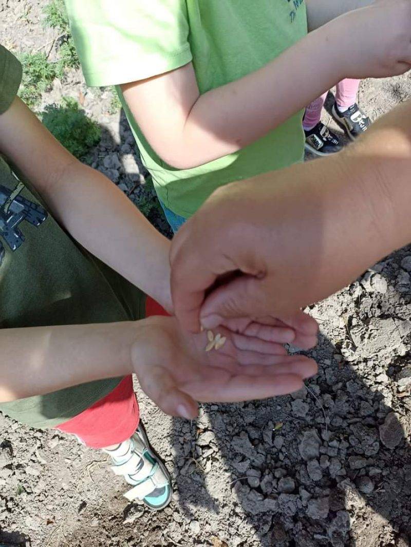 FB_IMG_1719754534580.jpg FB_IMG_1719754534580.jpg