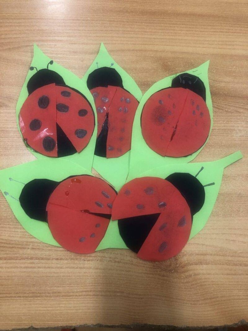 A katica elveszett pöttyei A katica elveszett pöttyei