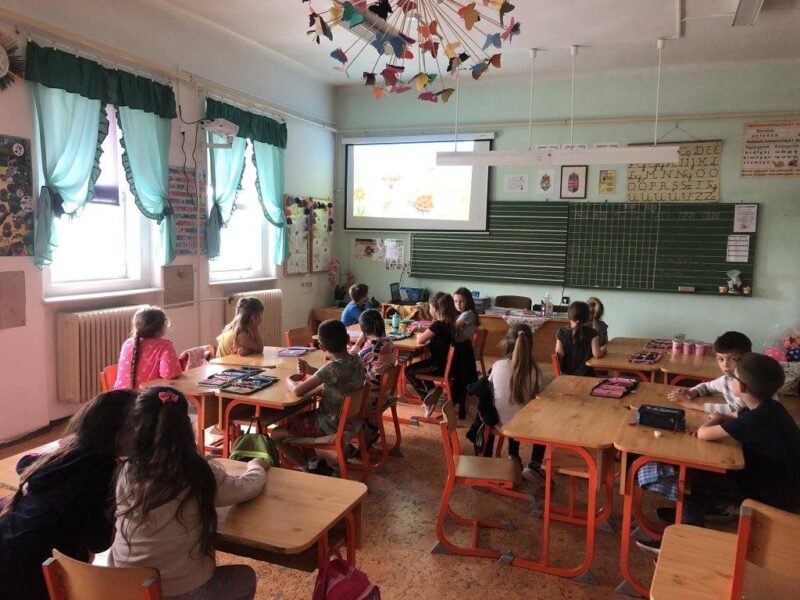 A katica elveszett pöttyei A katica elveszett pöttyei