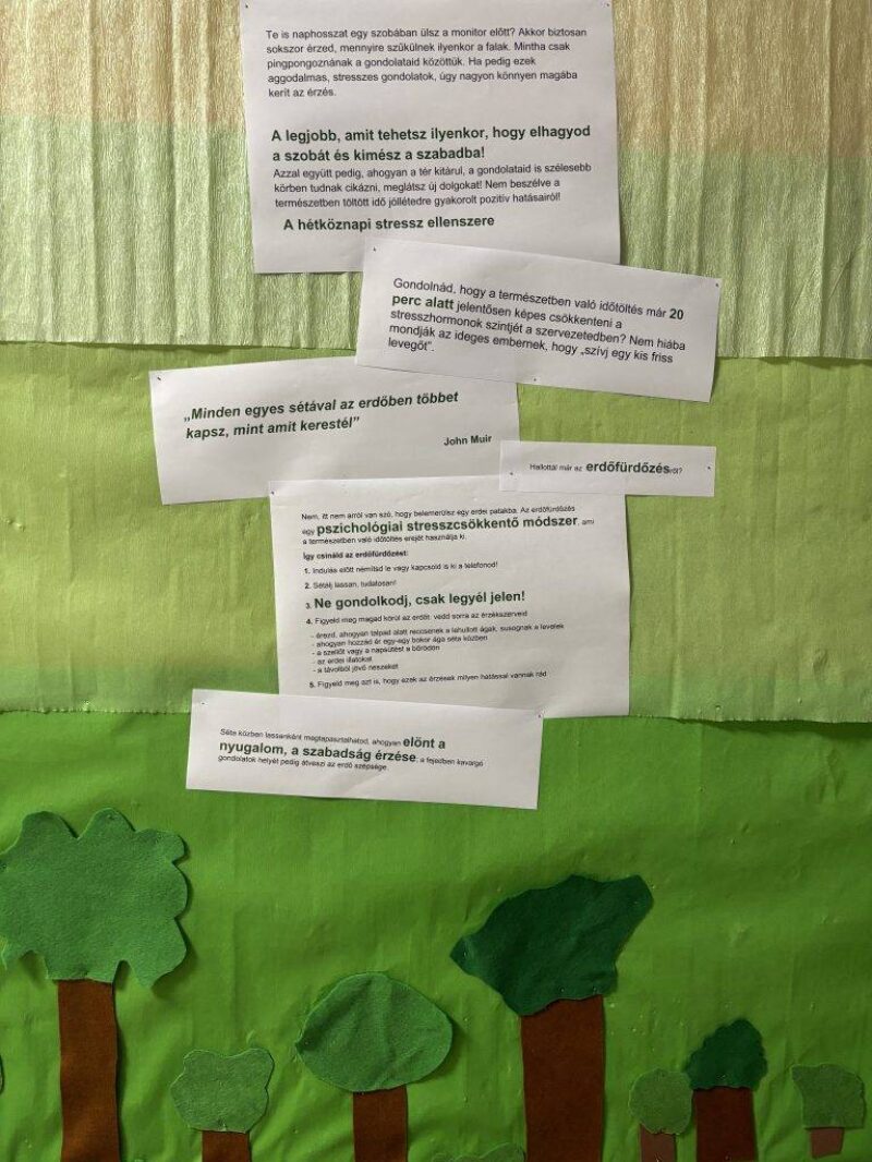 A Fehér és a Fekete Farkas A Fehér és a Fekete Farkas