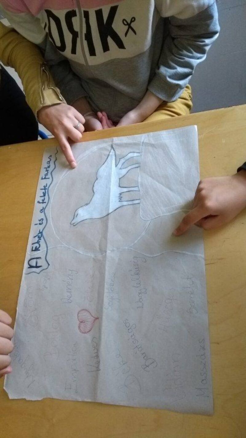 A fehér és a fekete farkas A fehér és a fekete farkas