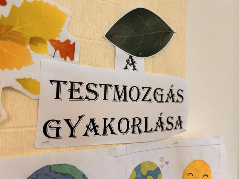Testmozgás a 8. osztályban Testmozgás a 8. osztályban