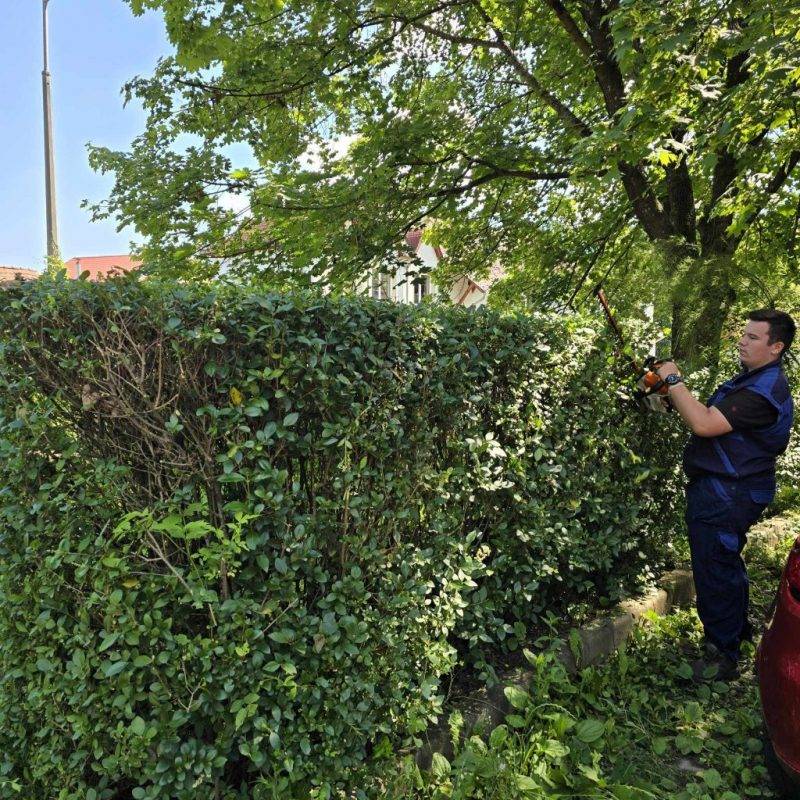 fenntarthato1-1.jpg fenntarthato1-1.jpg