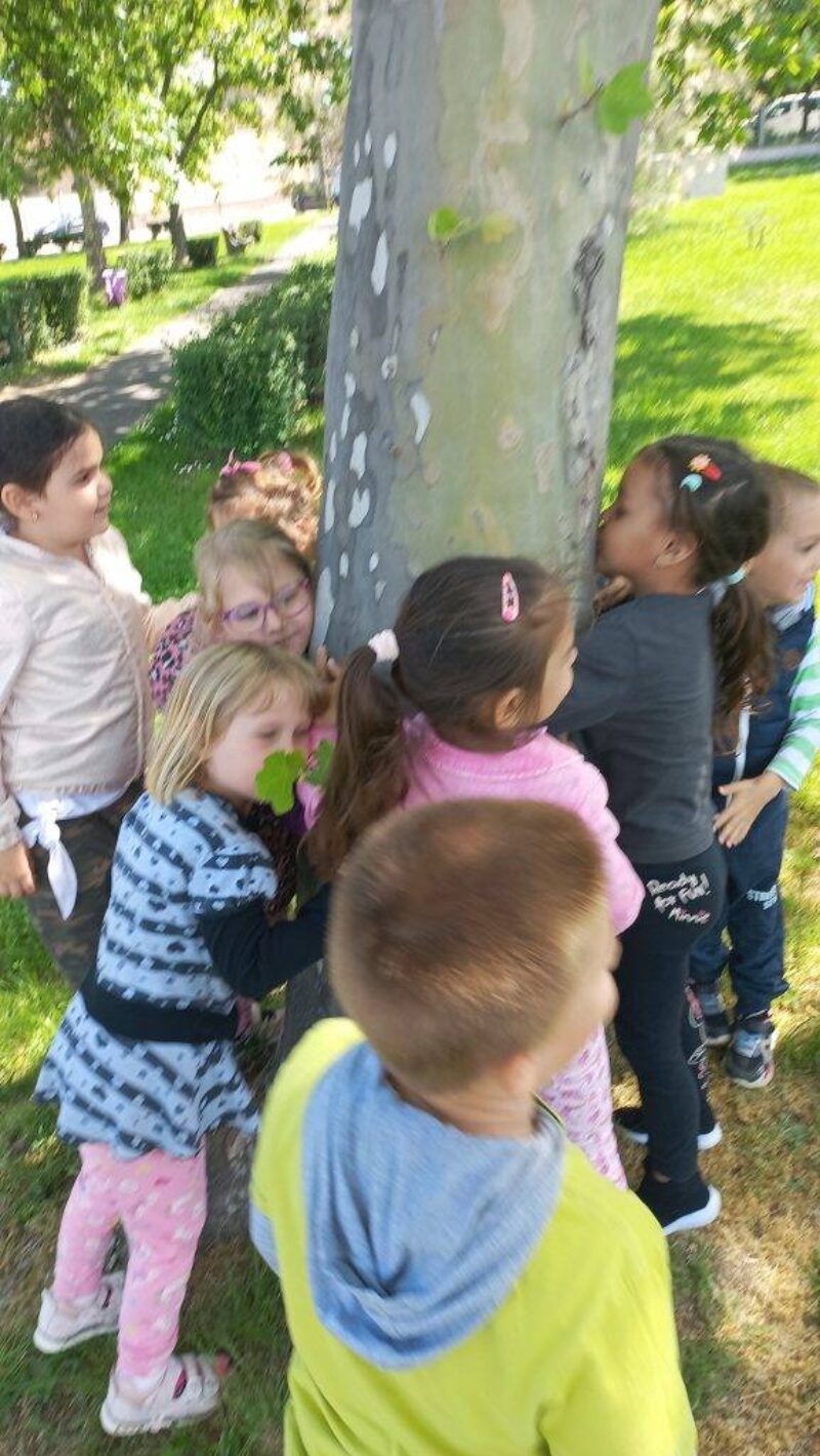 Éves beszámoló 2023-2024 Éves beszámoló 2023-2024