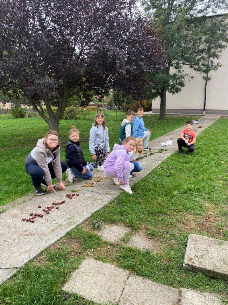 A mi hálánk A mi hálánk