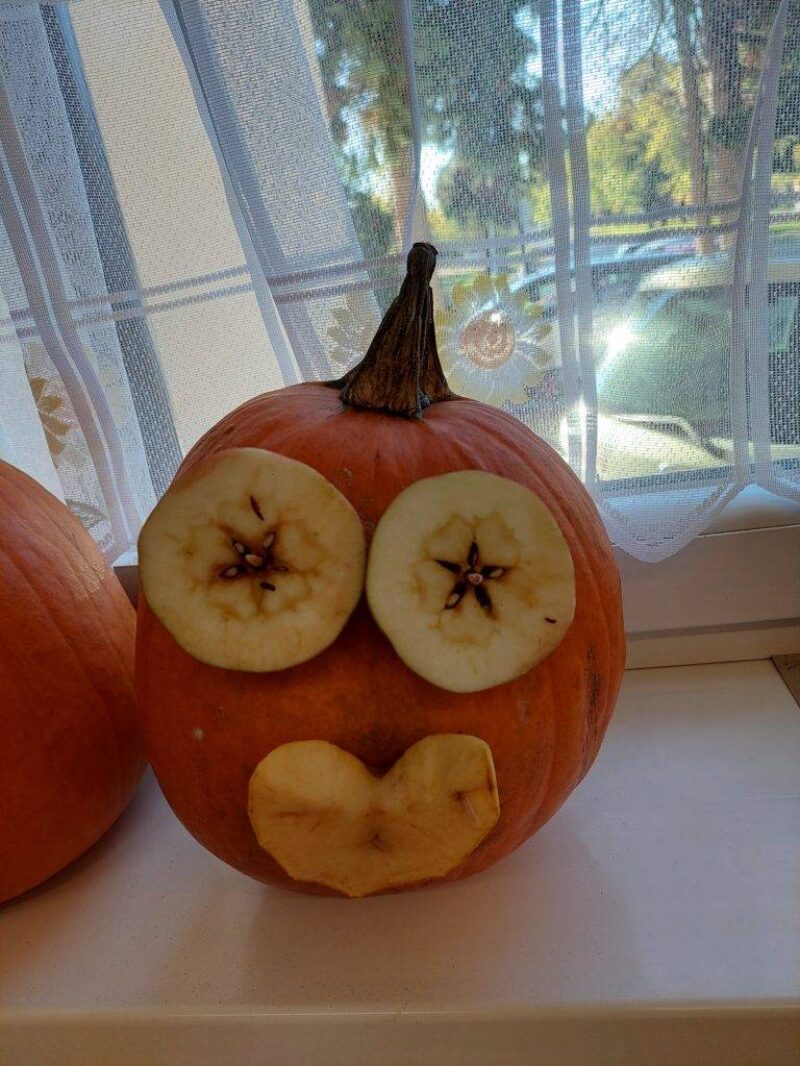 Tódi törpe Tódi törpe