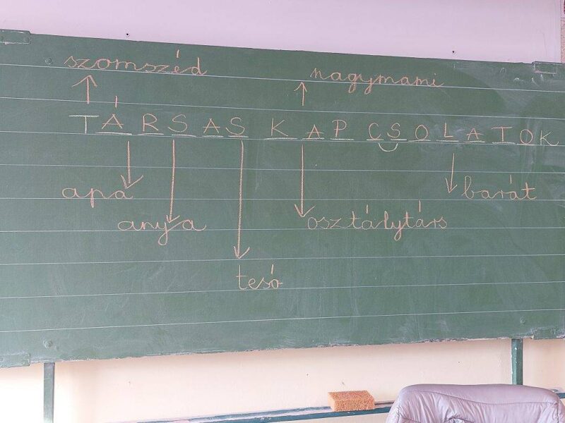 Társas kapcsolataink Társas kapcsolataink